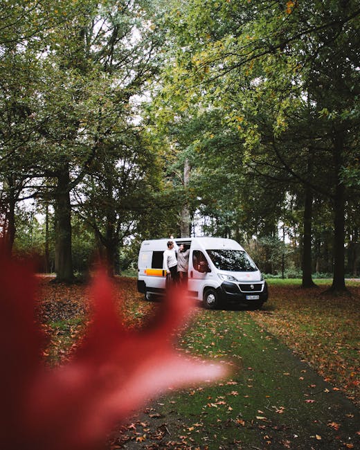 A white cargo van parked on a grassy area surrounded by tall trees with green foliage, situated near a pathway within a wooded park. Two individuals are seen loading or unloading items through the open side door of the van, which is equipped with safety stripes along the side. The scene includes scattered fallen leaves on the ground, indicating an outdoor environment suitable for house removals and home relocation services. In the foreground, there is a blurred, partially visible reddish object, possibly a flower or branch, framing the scene. This image exemplifies the logistics involved in furniture transport and packing and moving activities, with the focus on vehicle access and loading process in a natural setting, aligning with the services offered by Man with Van Notting Hill for estate removals in Holland Park.